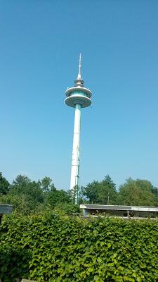 Kleingartenverein AWL Heide
