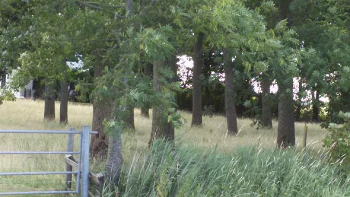 Neuenkirchener Landschaftsbau GmbH