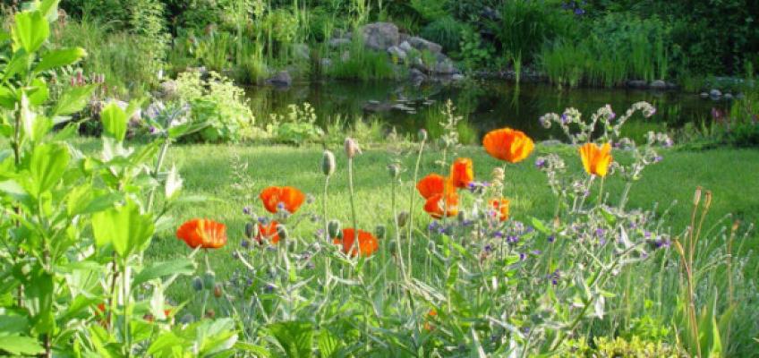 Gartenbau Schöpfer