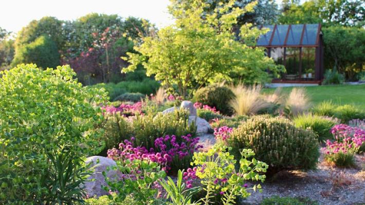 KaysaGärten - Gartendesign im Norden