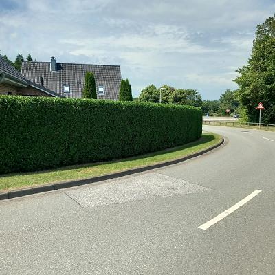 Gartenpfleger Sarr