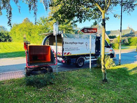 Baumpflege Vogel