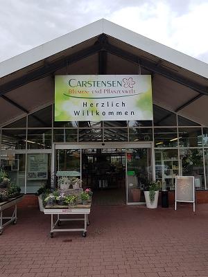 Carstensen Blumen- und Pflanzenwelt