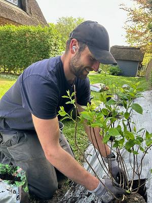 Nils Scharfenstein Gartenpflege und Gartenbau Föhr