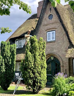 Syltergrün - Henk Gmbh