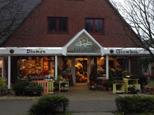 Blumen Goemann
