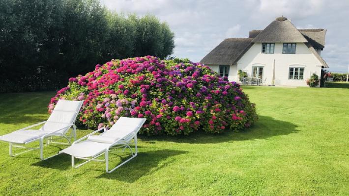 Haus- und Gartenbetreuung Päschel