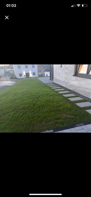 682ee09161054