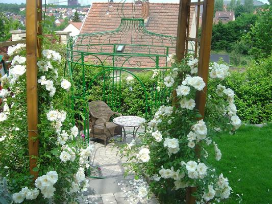 Hau Gartenwelten - Gartenbau Thomas Hau