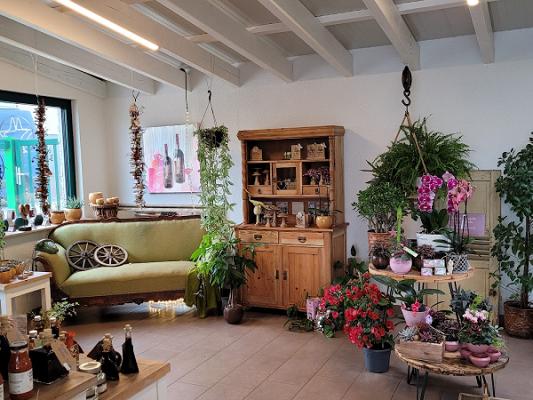 Gartenbau & Floristik Steimer