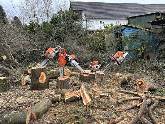 Strzalko Baumfällungen & Landschaftspflege