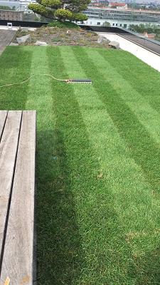 Michael Mobiler Gartenservice