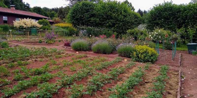 Obst- und Gartenbauverein Eppelborn