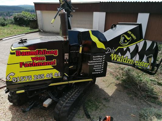 Die Waldmeister - Baumfällung vom Fachmann!