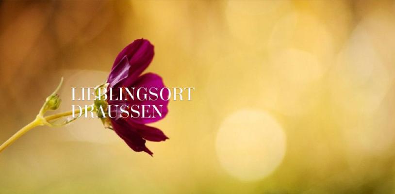 BOHR - Ihr Gärtner von Eden - Peter Bohr