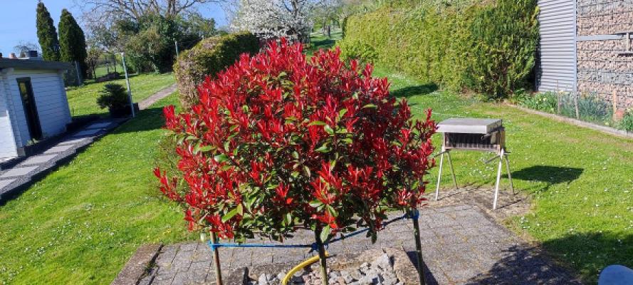 682ee2a0edb41