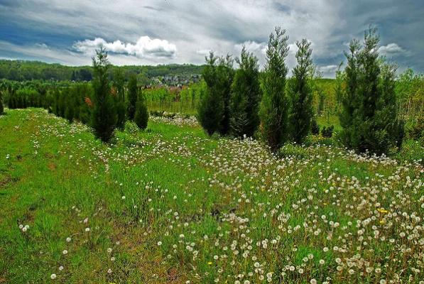 682ee2a1b4af8