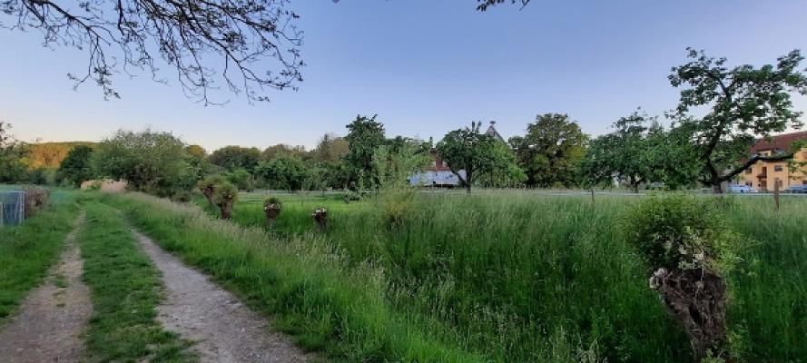 Gartenfreunde Freiberg am Neckar e.V.