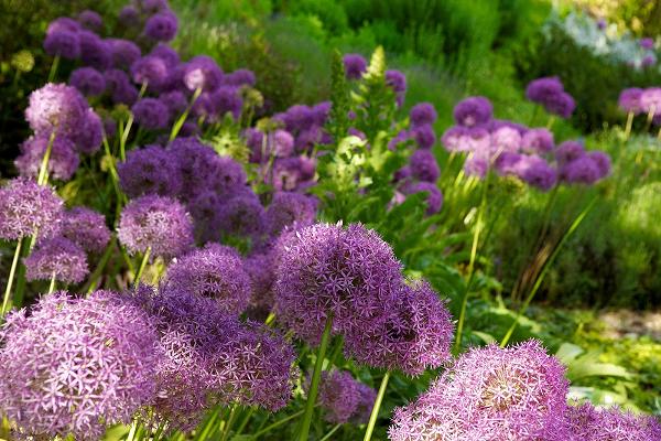 Garten der Sinne