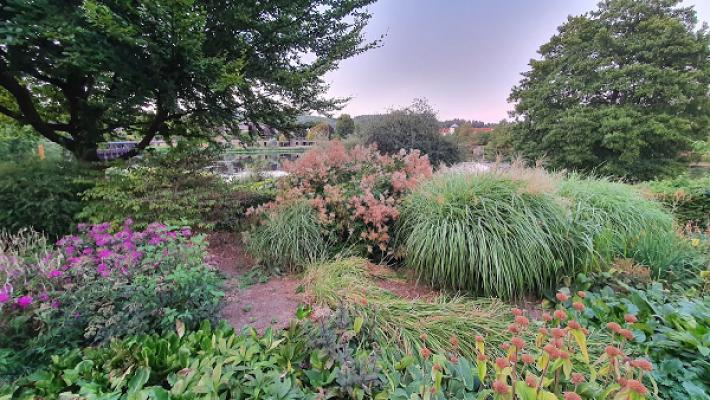 Staudengarten Weiskirchen