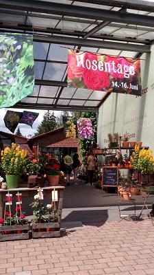 Reiter Die Blüten- & Gartengestalter Inh. I.Rau
