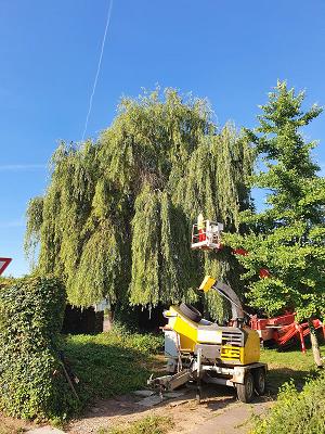 Gartenpflege Lang