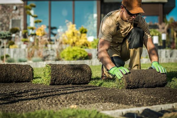 Easy Gartengestaltung
