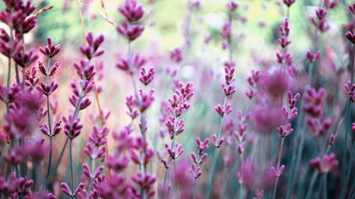 GARDOMAT - Die Gartenideenmacher