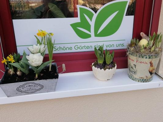 CityGardens Dresden GmbH