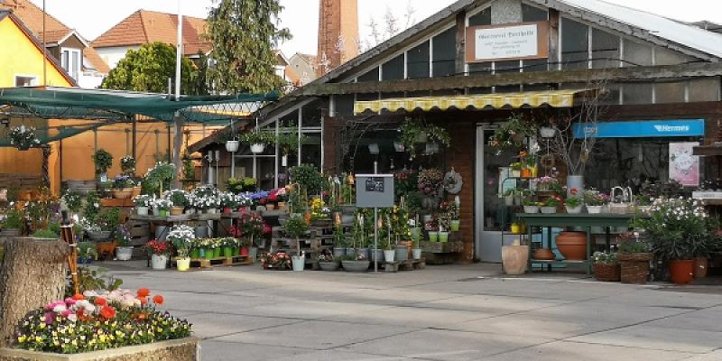 Gärtnerei Heiko Bertholdt - Ihre Gärtnerei Dresden ✿