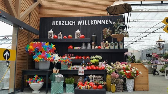 Kühne Grün erleben