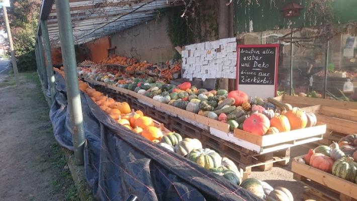 Jens Kühne Gartenbau