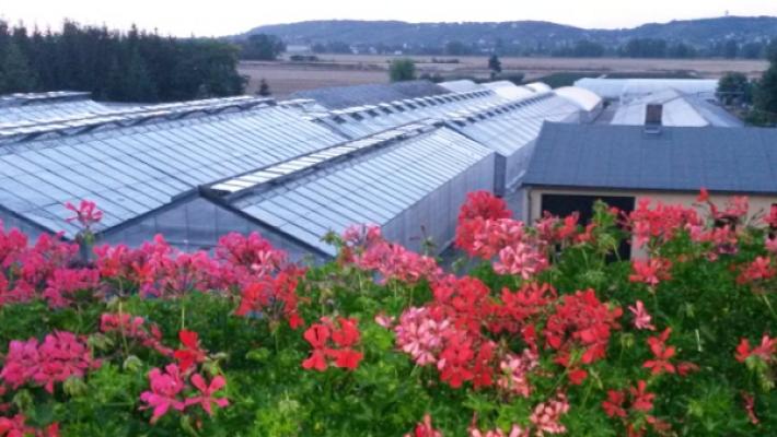 Gärtnerei Jens Berthold