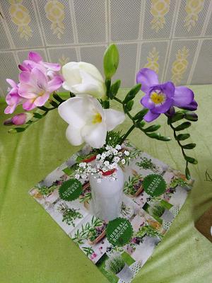 Böhmes Erben Gartenbau