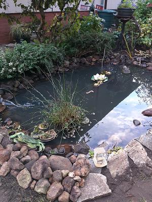 Rudower Wassergarten Inh. Björn Schlichting