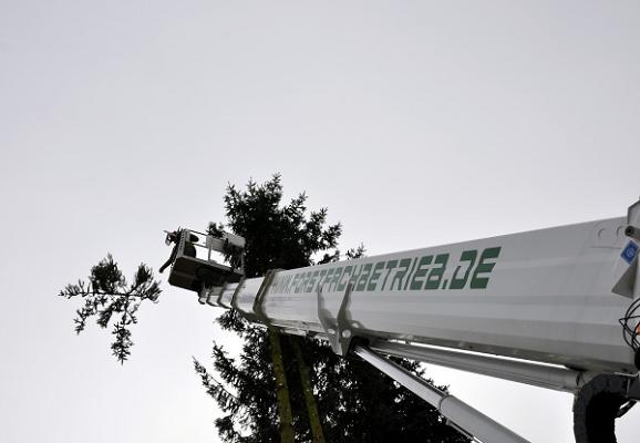 Forstfachbetrieb Radebeul - Dresden | Baumpflege · Baumfällung