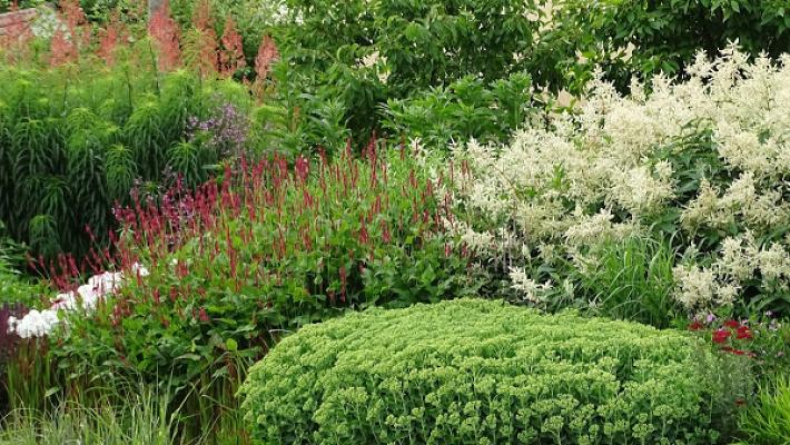 Staudengarten Manja Löchel