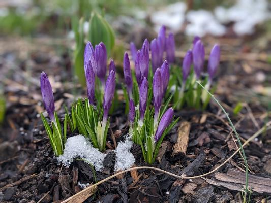 KGV „Gärtnerglück Großenhain“ e.V.