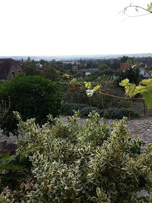 Garten- und Landschaftsbau Lässig