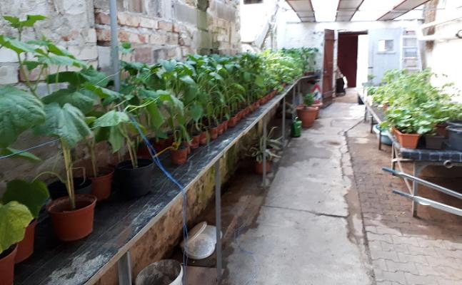 Alte Stadtgärtnerei Riesa