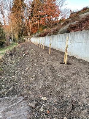 682de81cc1bbb