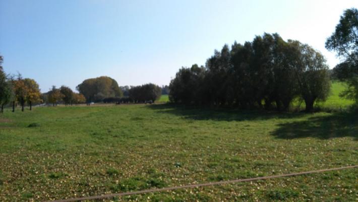 Garten- u. Landschaftsbau Schmidtgen