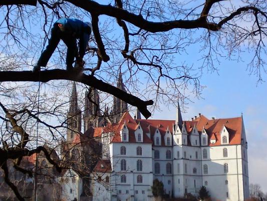 Baum- und Gartenpflege Quosdorf