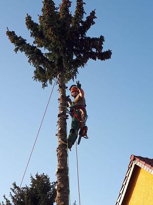 Baumdienst Andreas Jobst