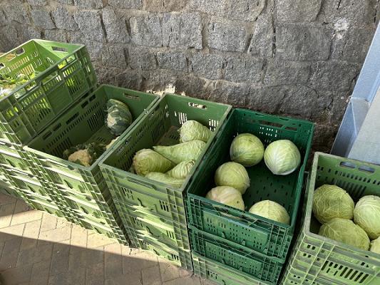 Trond Beuchler Gartenbaubetrieb