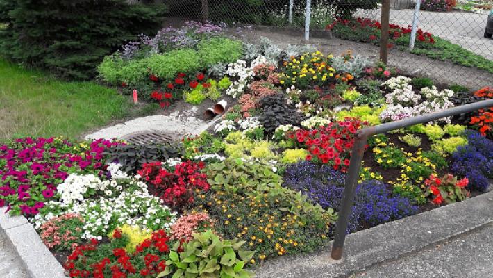 Gartenbau König