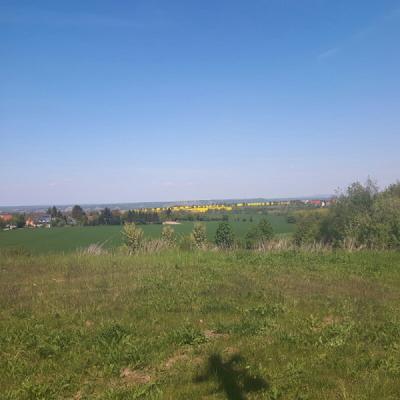 Gartenbau und Blumenmarkt Riedel