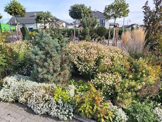 GartenBaumschule Lux - Privatverkauf Bannewitz