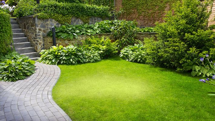 Frank Petzold · Garten- und Landschaftsbau