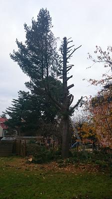 Landschafts und Gartenbaubetrieb Brenner